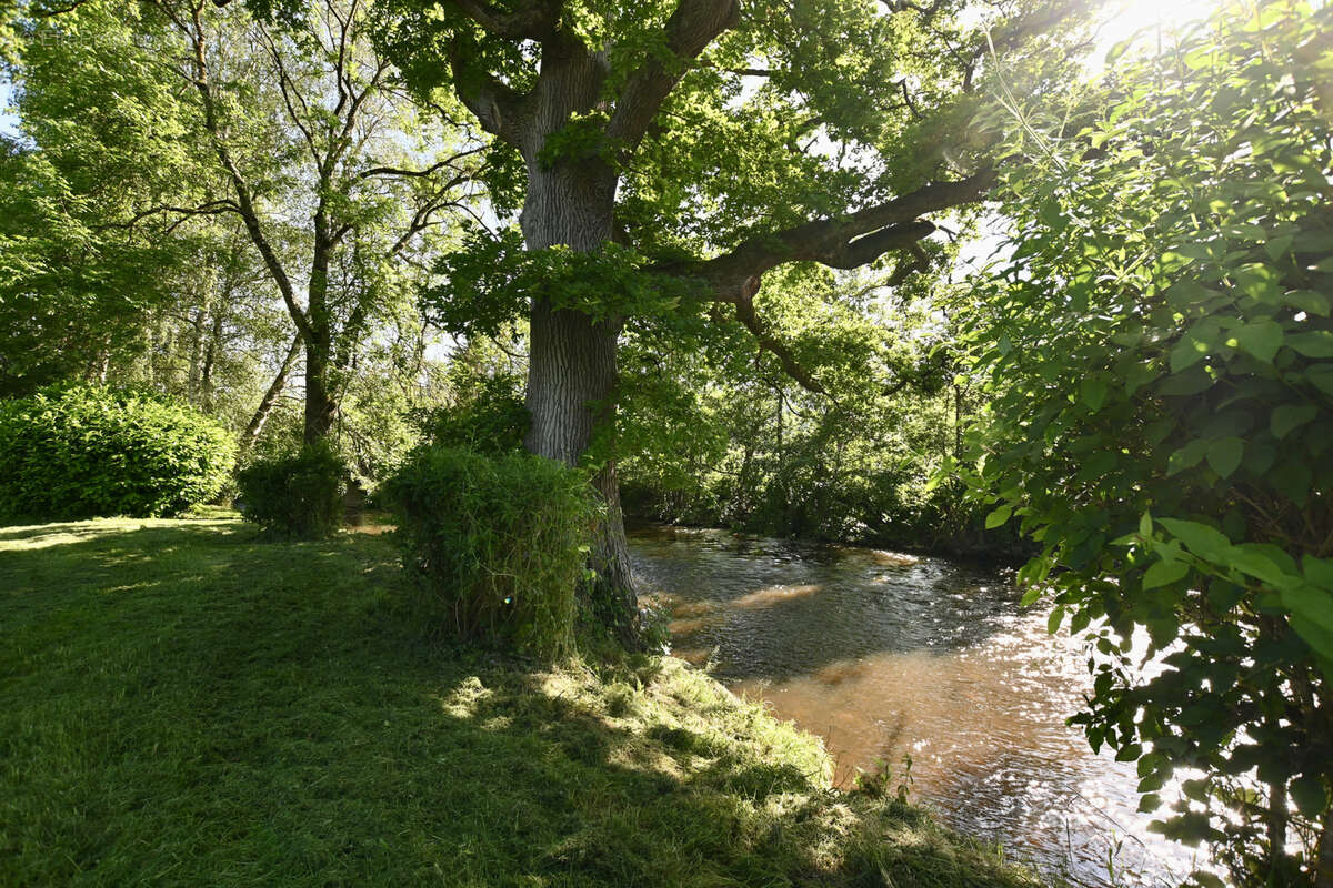 Domaine de caractère à fort potentiel touristique - photo 8