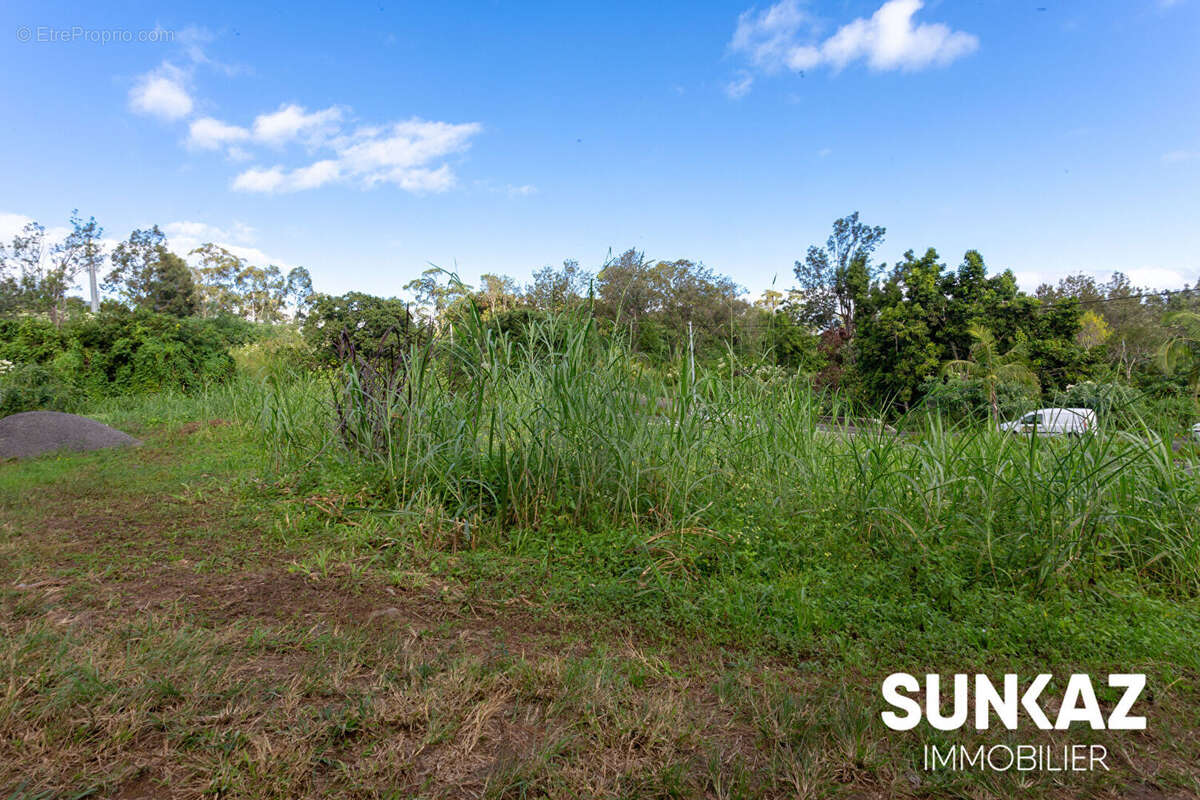 Terrain à LE TAMPON