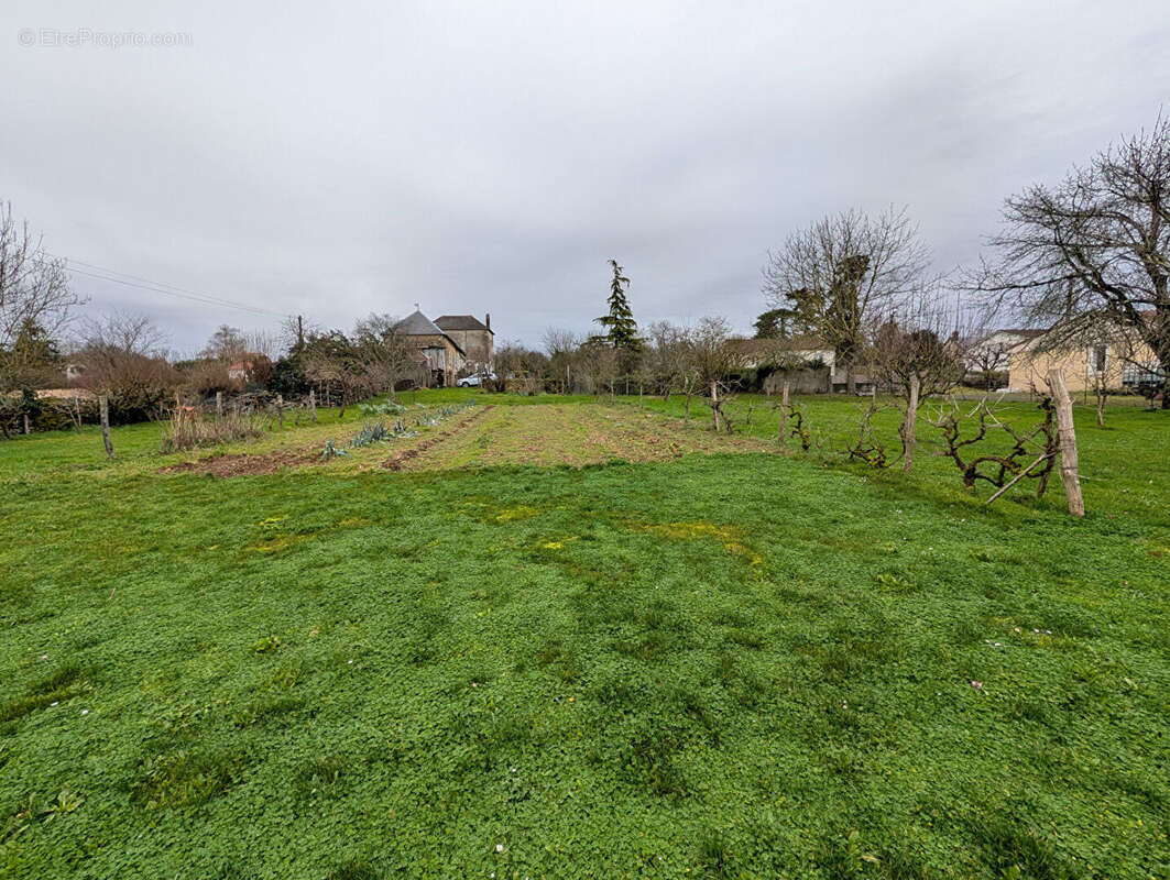 Terrain à LA MOTHE-SAINT-HERAY