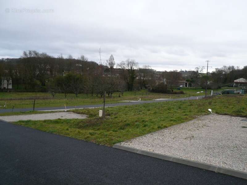 Terrain à SAINT-LAURENT-DE-COGNAC