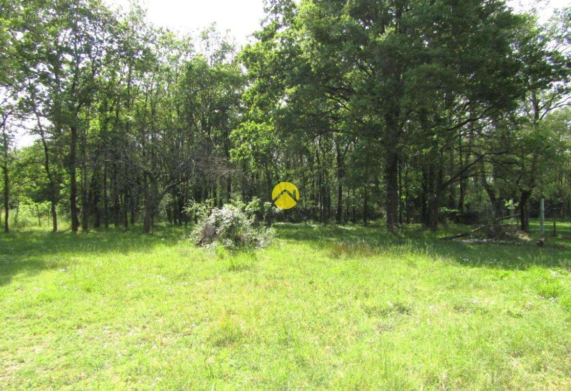 Maison à MONTRICHARD