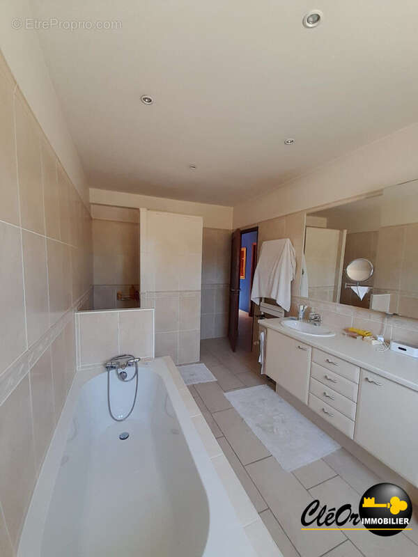 Maison 245 m² à Saint-Usage  - photo 8
