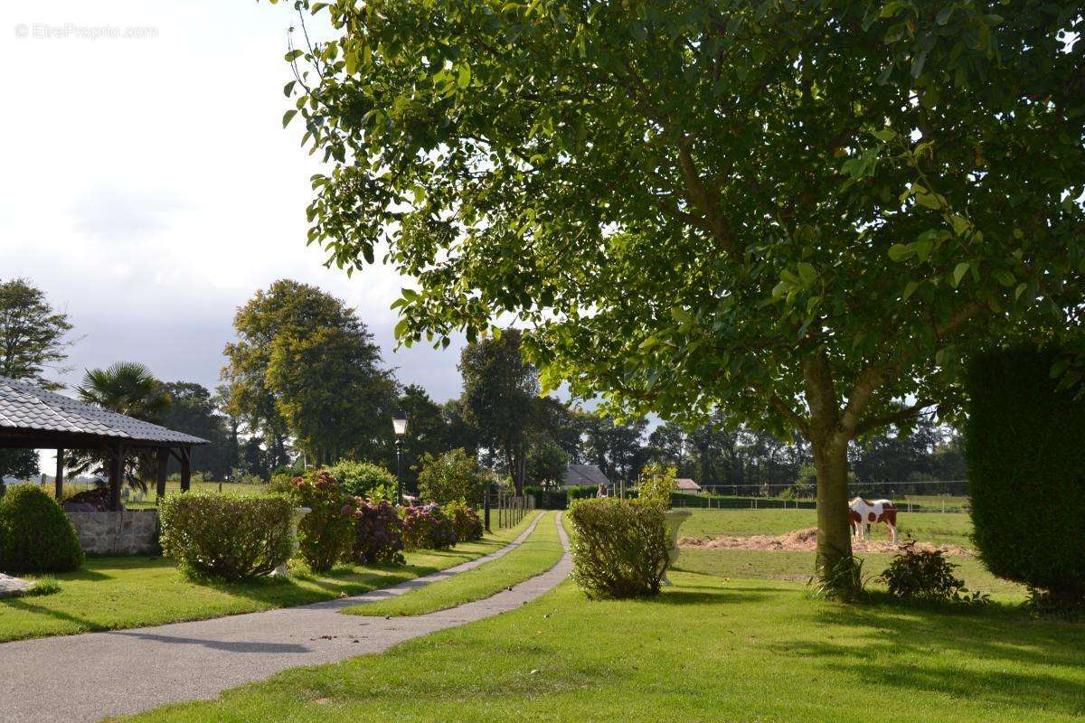 Maison à BLOSSEVILLE