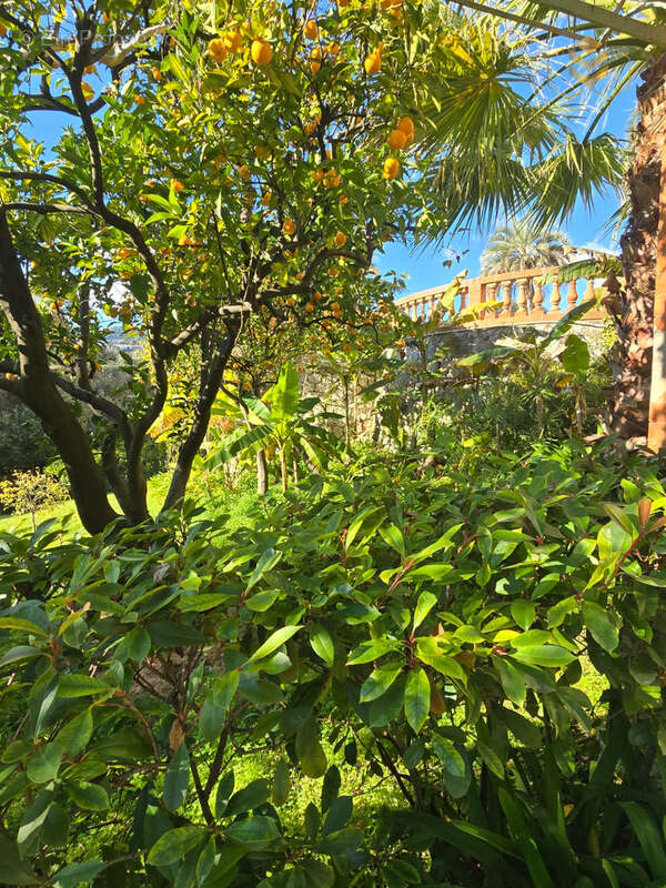 Rare appartement de caractere 4 pièces - palace menton - photo 5