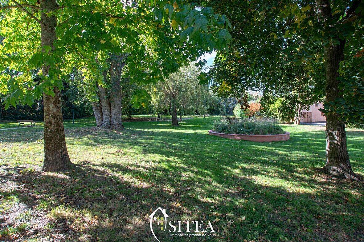 Appartement à COLOMIERS