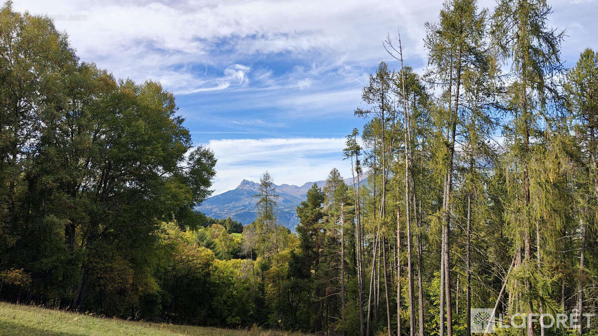 Maison à SAINT-SAUVEUR