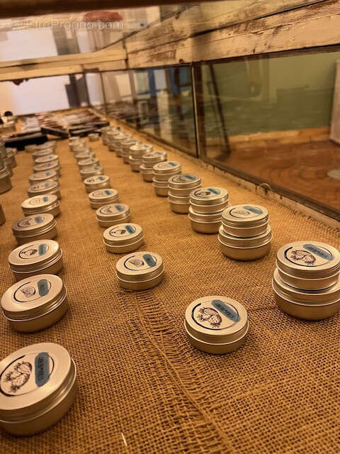 Commerce à SAINT-PIERRE