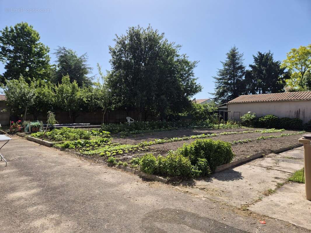 Terrain à SAINTE-FOY