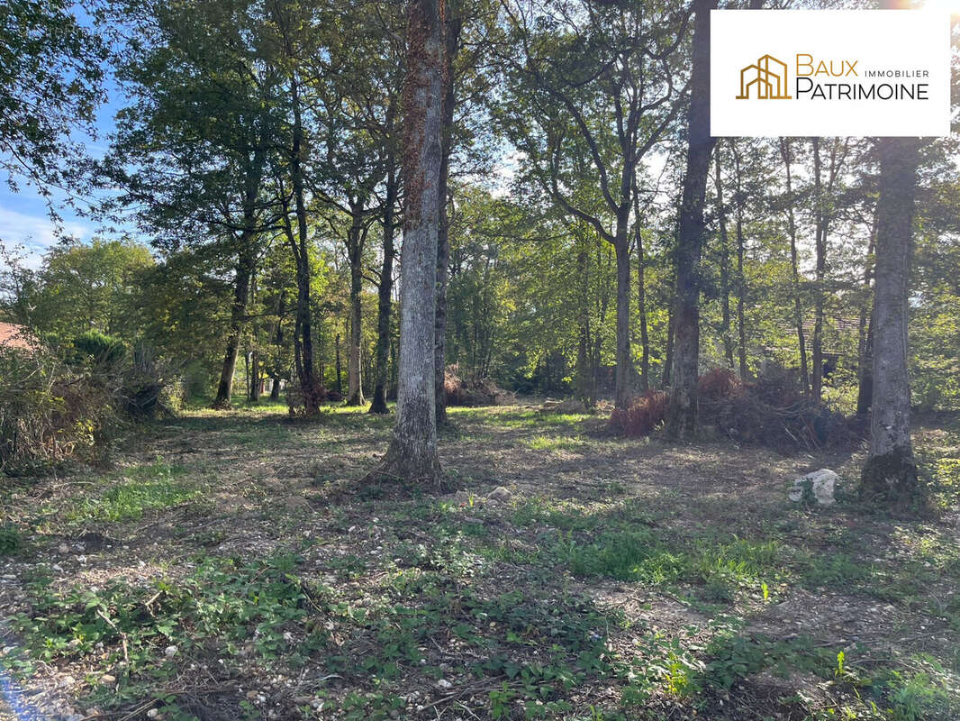 Terrain 2316 m² à Bazoches-Sur-Le-Betz  - photo 4