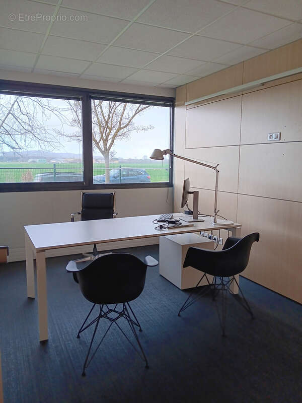 Commerce à QUINT-FONSEGRIVES