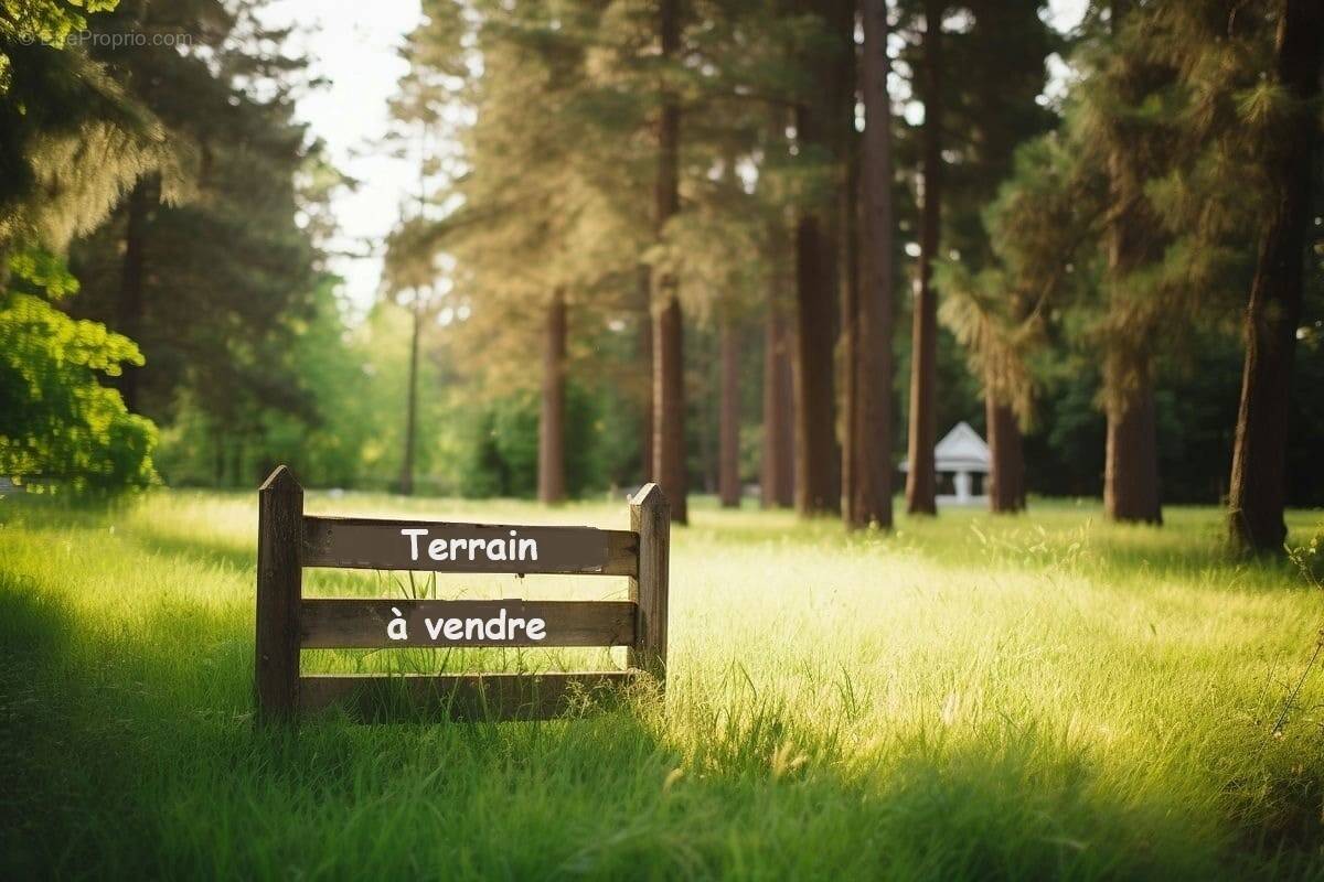 Terrain à TALMONT-SAINT-HILAIRE