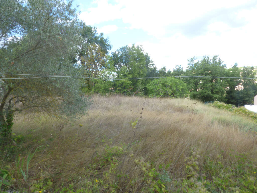 Maison à SAINTE-TULLE