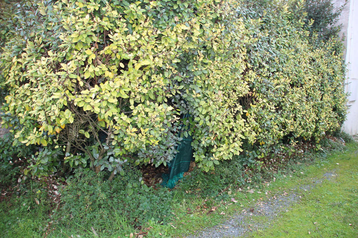 Maison à MESCHERS-SUR-GIRONDE