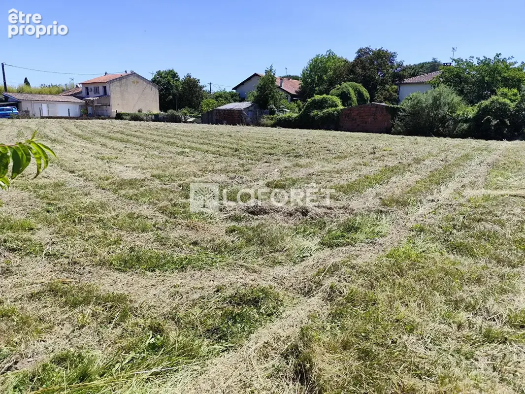 Lescure d'albigeois - photo 5