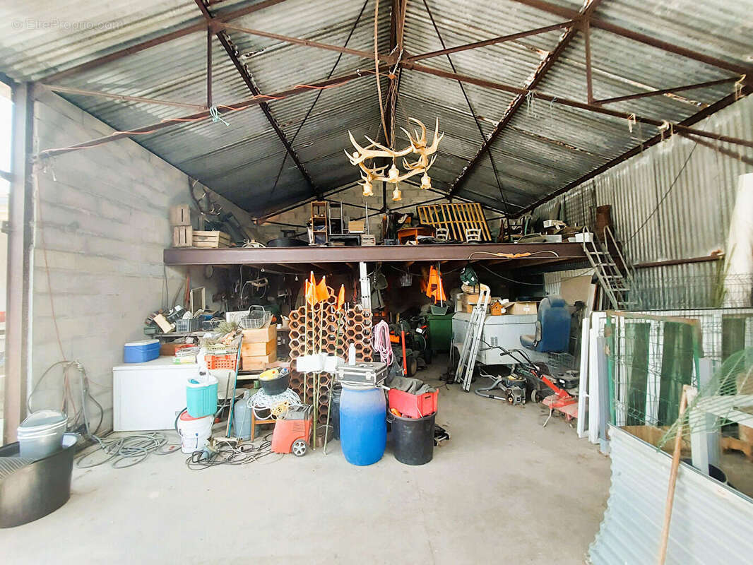 Dolus d'Oléron - Maison rénovée avec hangar de 100 m² et beau potentiel - photo 3
