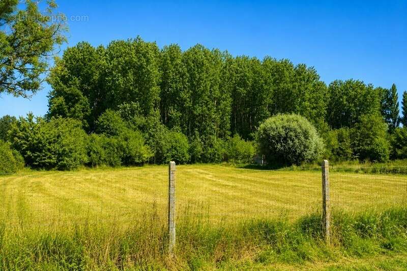 Terrain à vendre de 3 069,00 m² ROQUETOIRE (62) - photo 3