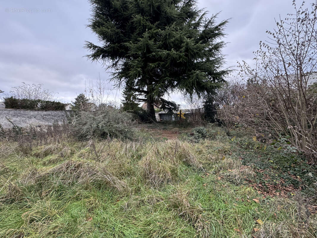 Maison à ORMESSON-SUR-MARNE