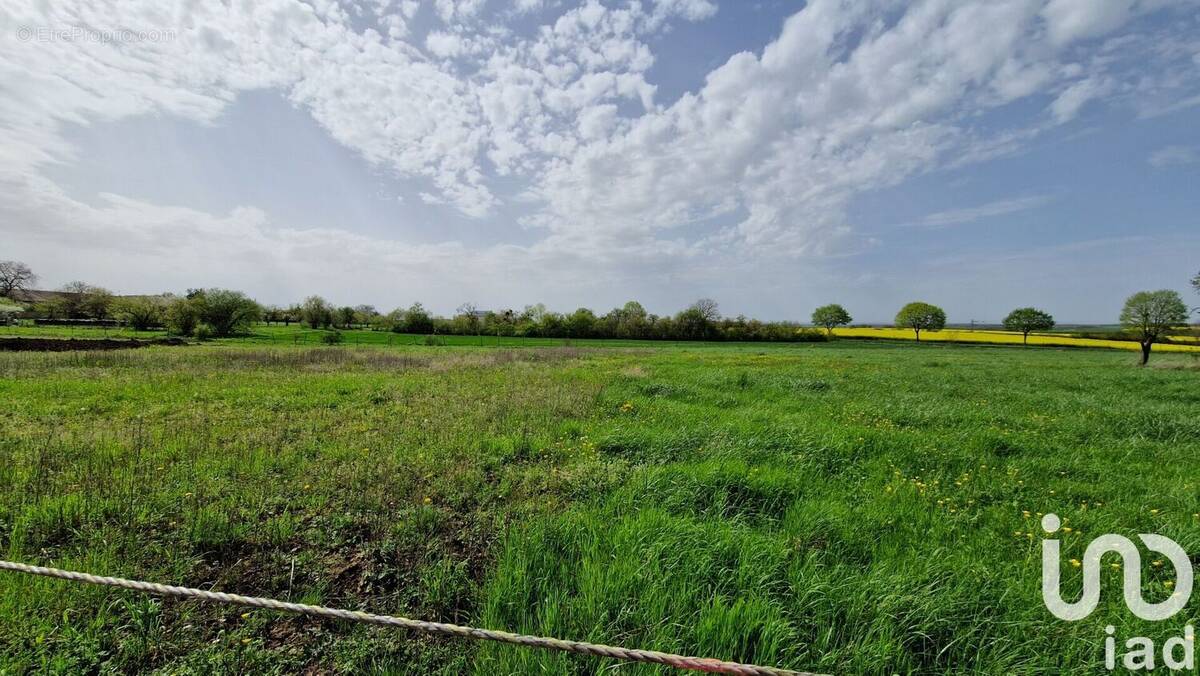 Photo 1 - Terrain à PUXIEUX