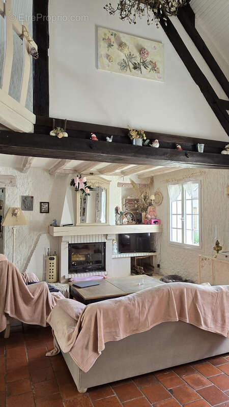 Maison à PRUNIERS-EN-SOLOGNE