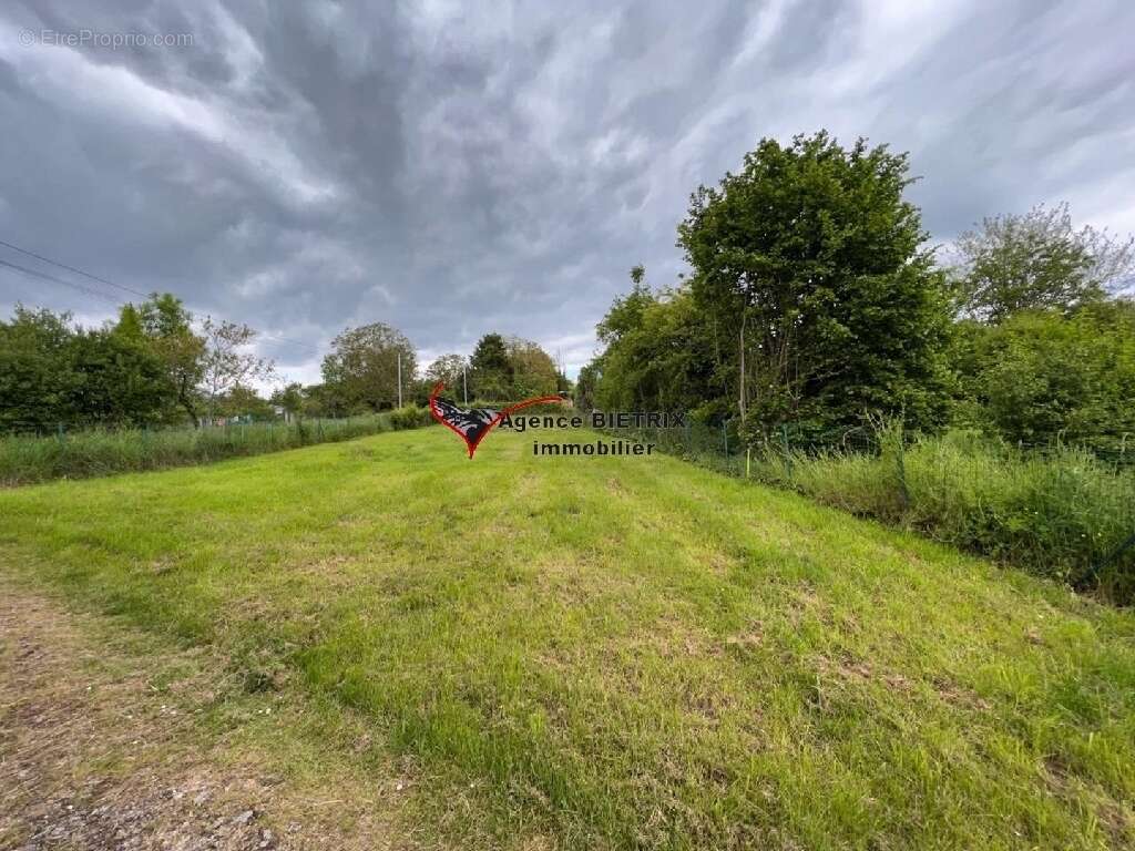 Terrain à PRESLES