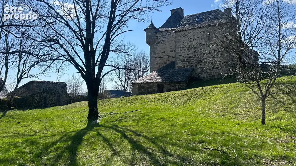 Manoir du XIVe siècle : Authenticité, Air pur et Golf entre l'Aubrac et les Monts du Cantal - photo 16