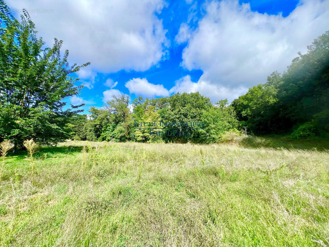 Terrain à BEDARIEUX