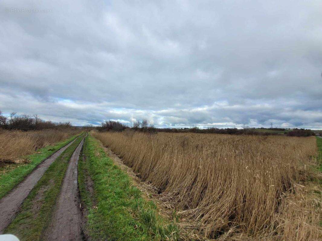 Terrain à SAINT-BONNET-SUR-GIRONDE
