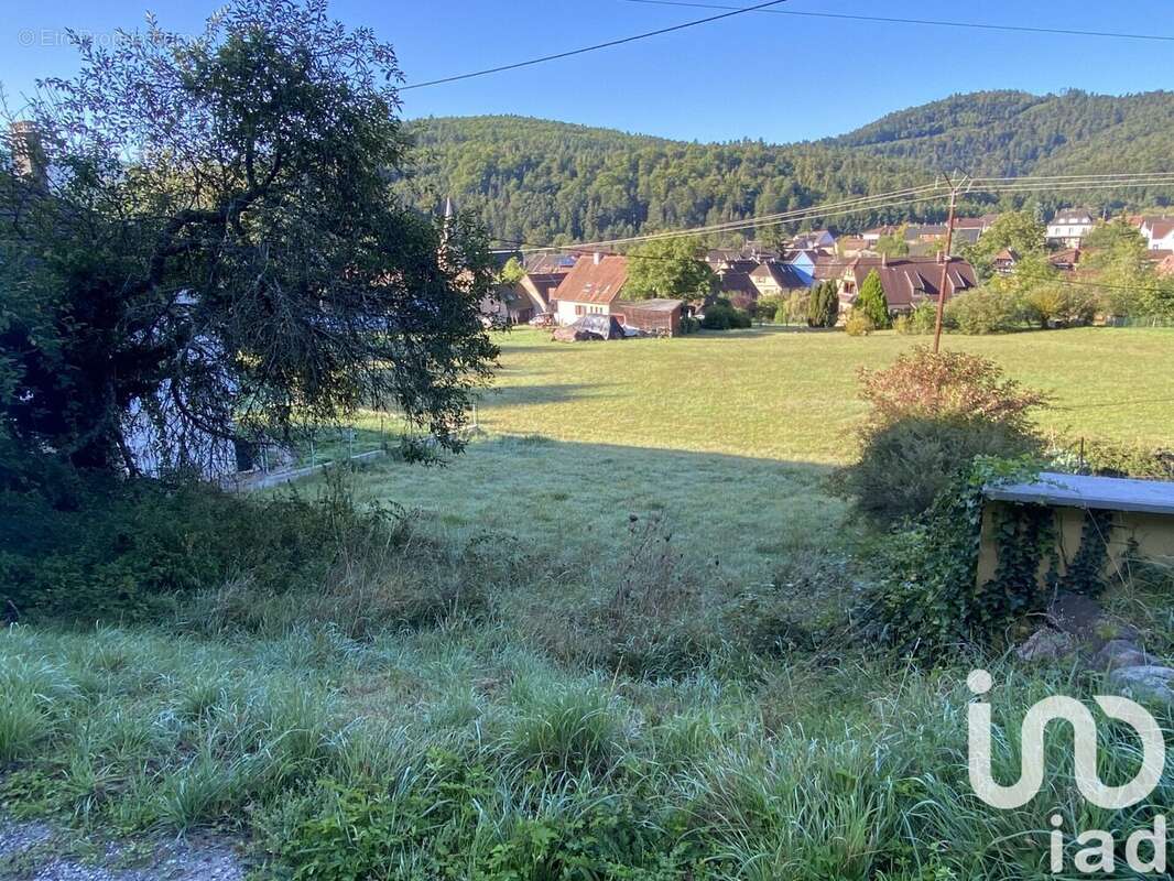 Photo 2 - Terrain à SAINT-MARTIN