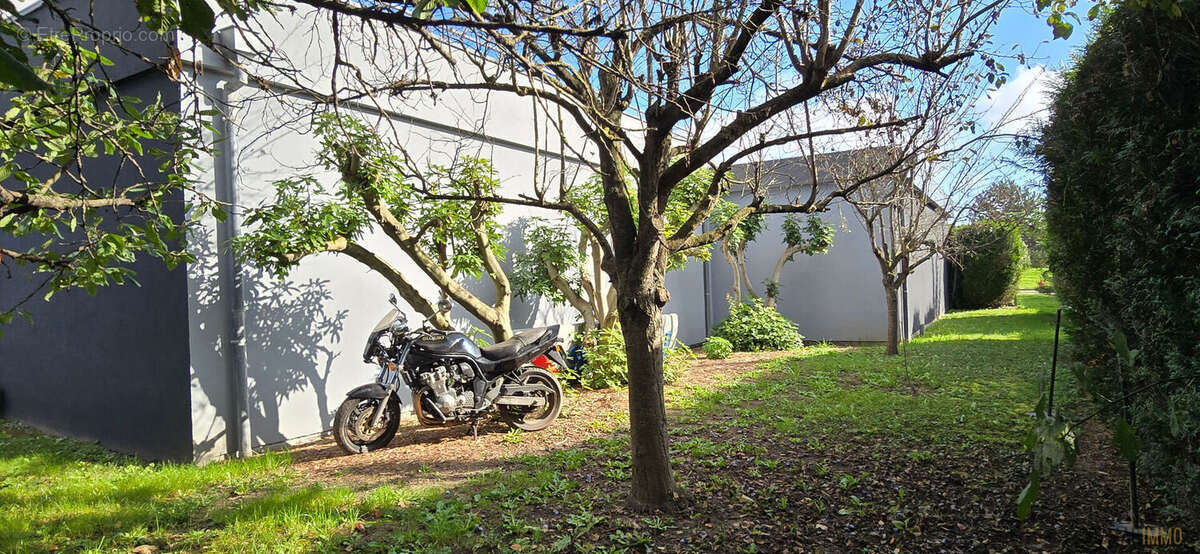 Commerce à HORBOURG-WIHR