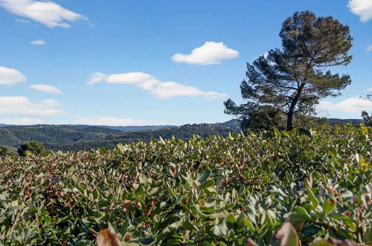 Maison à MONTAUROUX