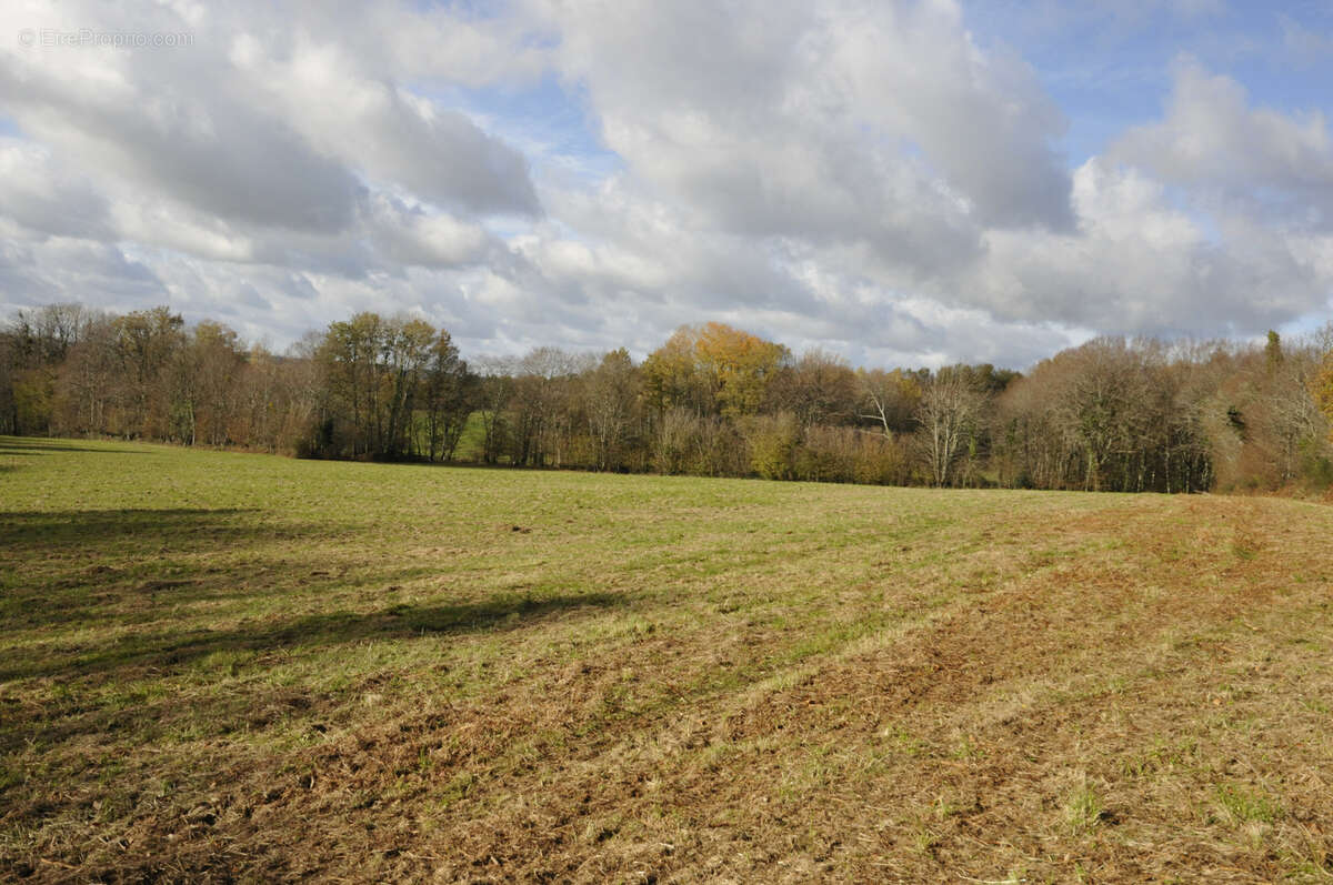 Terrain à VICQ-SUR-BREUILH