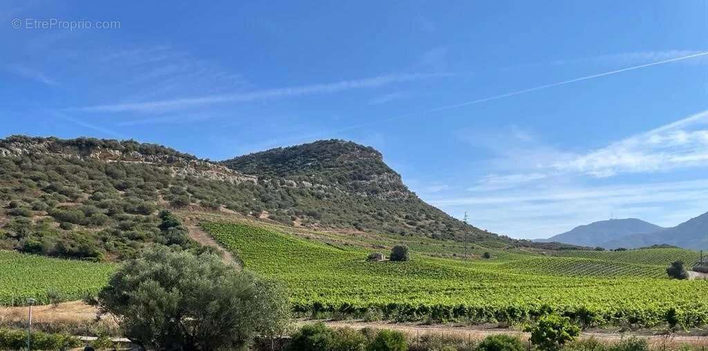 Appartement à OLETTA