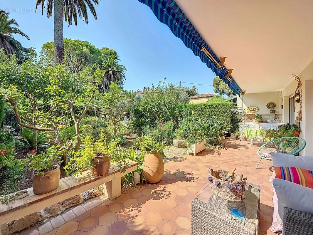 PROCHE CANNET MAIRIE : Superbe 4 pièces en rez-de-jardin avec 122 m² d’extérieur - photo 3