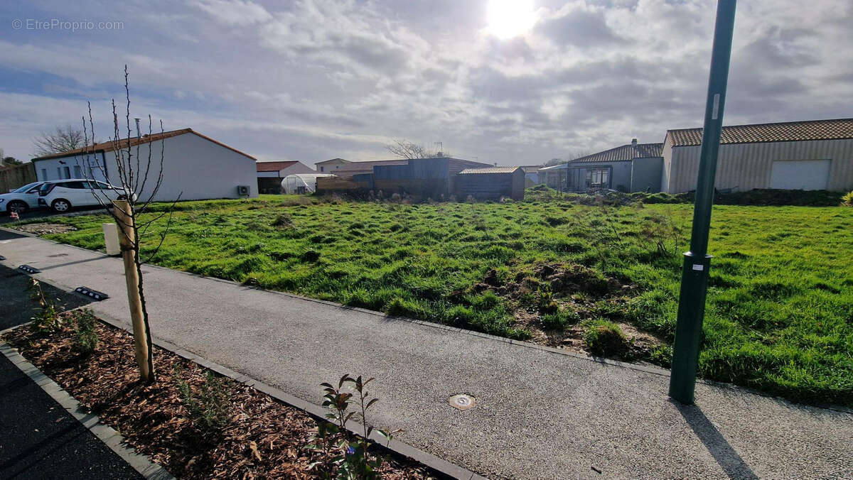 Terrain à BOIS-DE-CENE