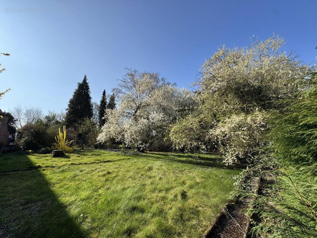 Terrain à REICHSTETT