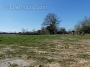 Terrain à MANERBE