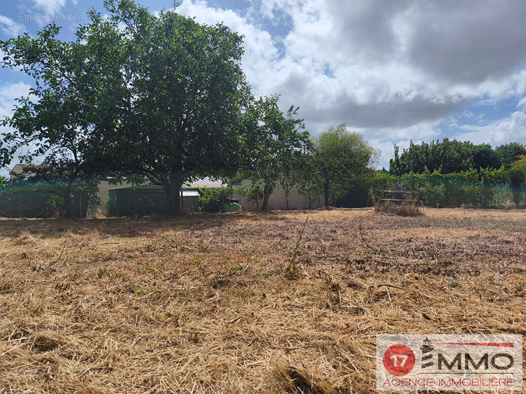 Terrain à THAIRE