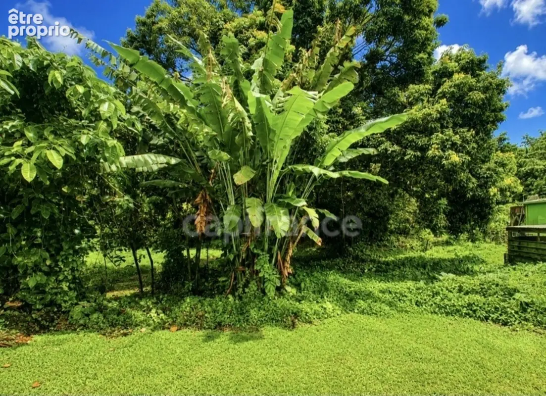A vendre - Terrain plat de 729 m² – Ajoupa-Bouillon – Secteur Adinet - photo 2