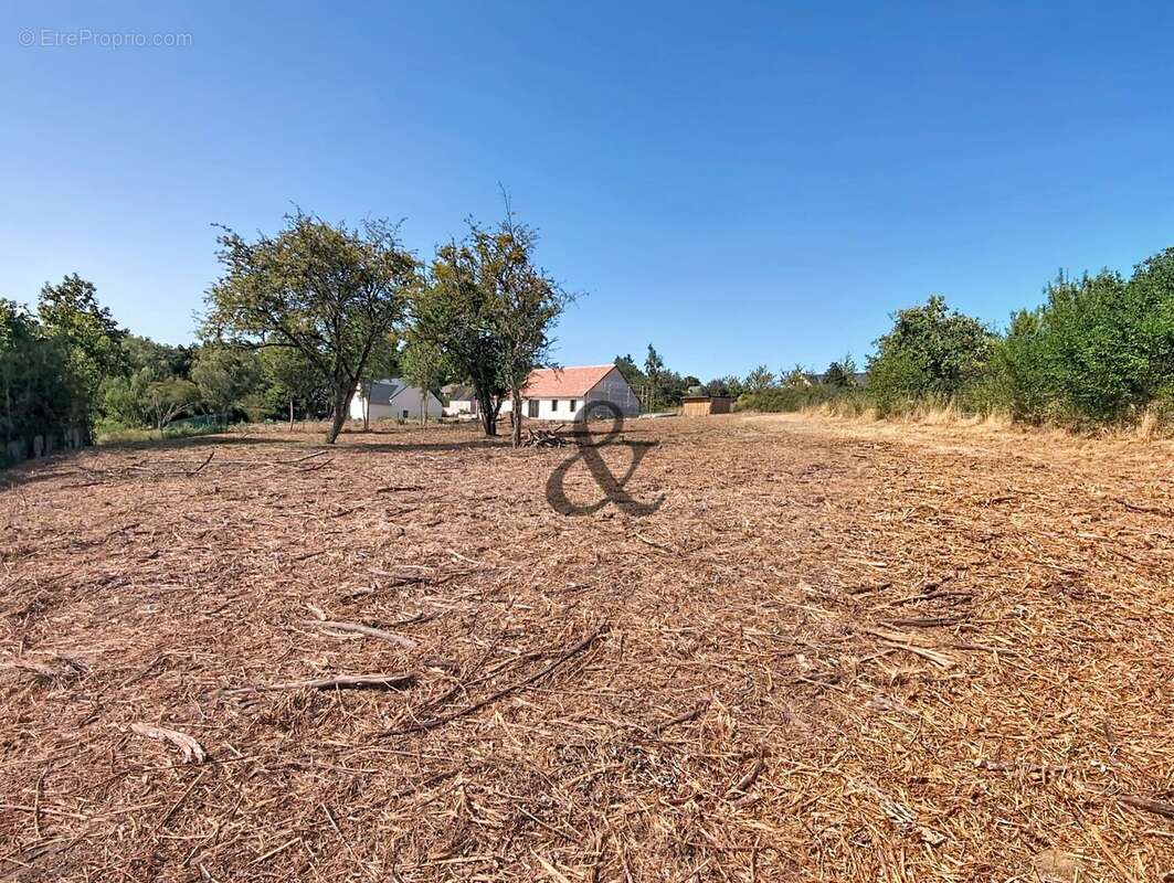 Terrain 1503 m² à Cande-Sur-Beuvron  - photo 2