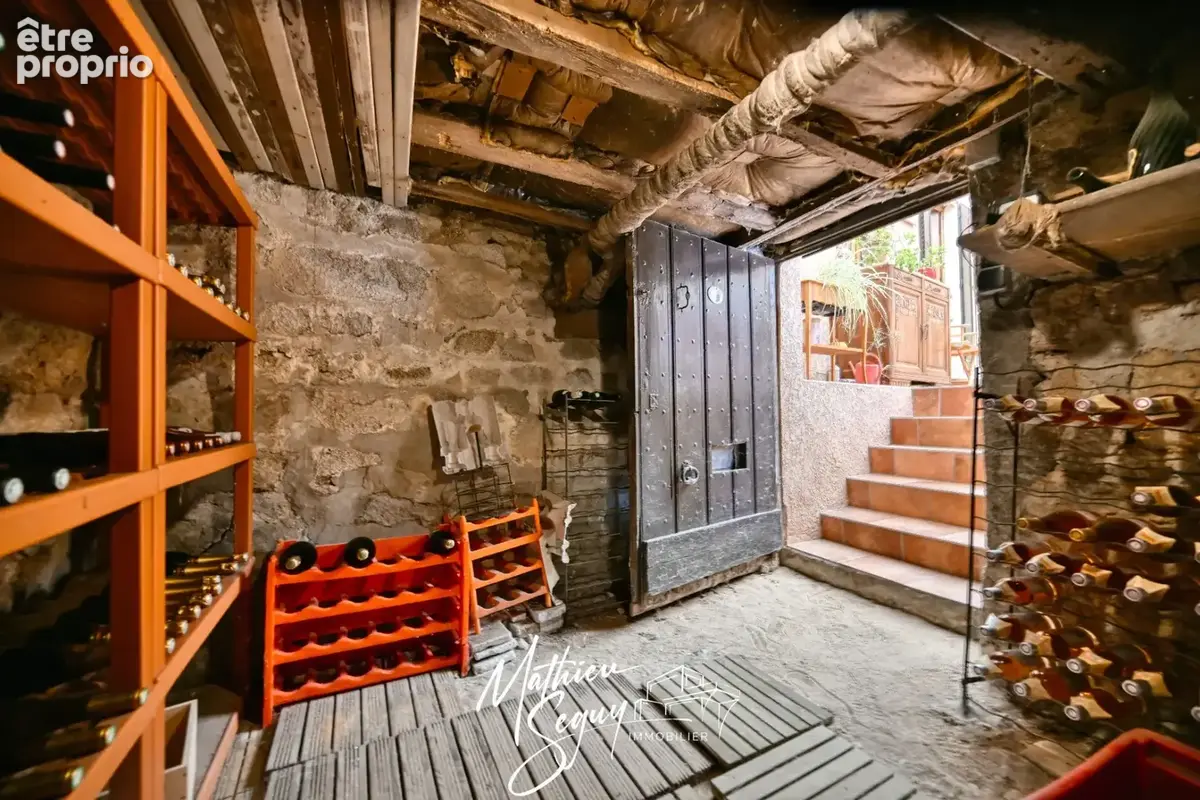 Thurins - propriete avec parc arboré - photo 19