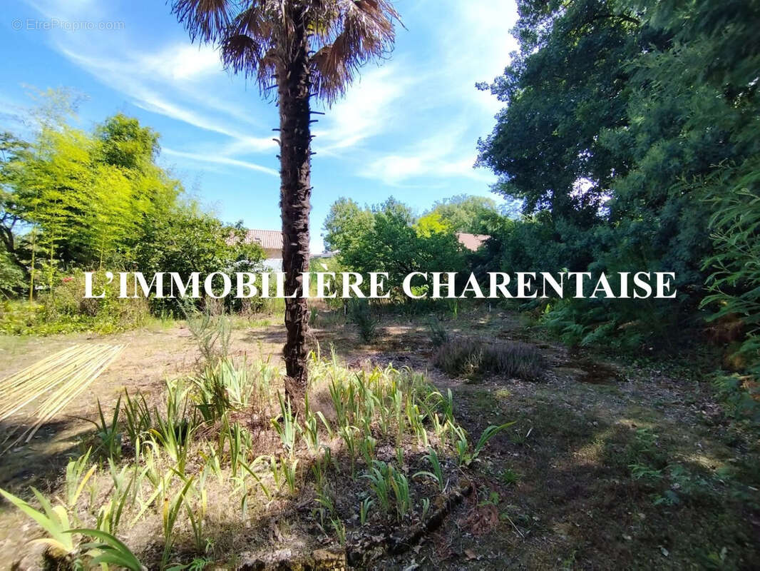 Terrain à BREUILLET