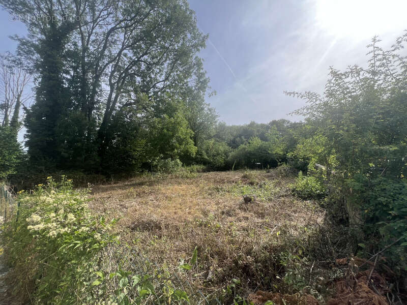 Terrain à vendre  BETHEMONT LA FORET (95) - photo 3
