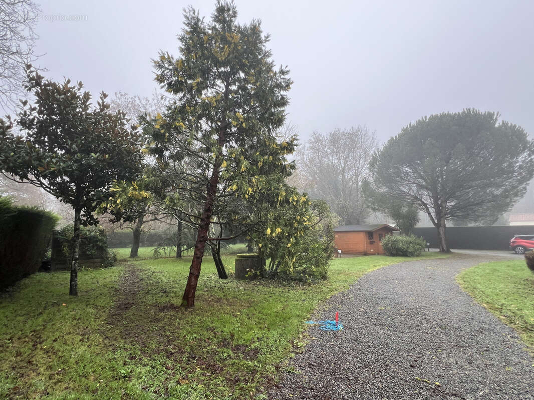 Terrain à ARTHON-EN-RETZ