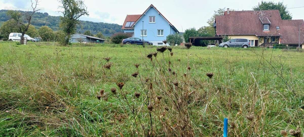 Photo 5 - Terrain à WESTHOFFEN