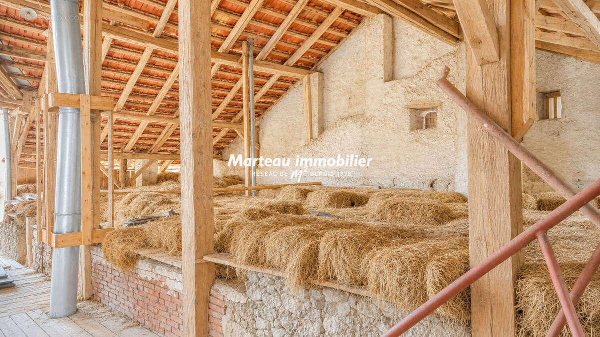 Maison à ENTRE-DEUX-EAUX