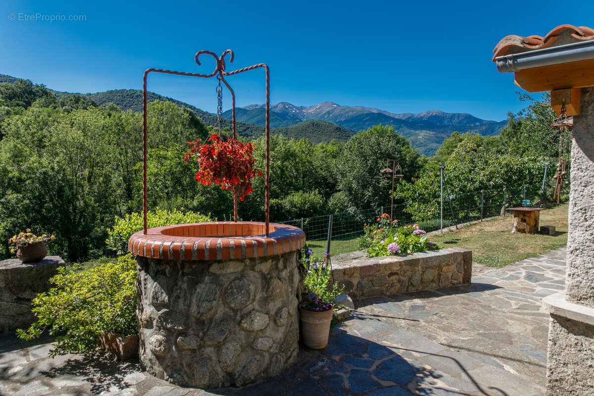 Mas 110 m2 sur 2763 m2 de terrain - photo 15