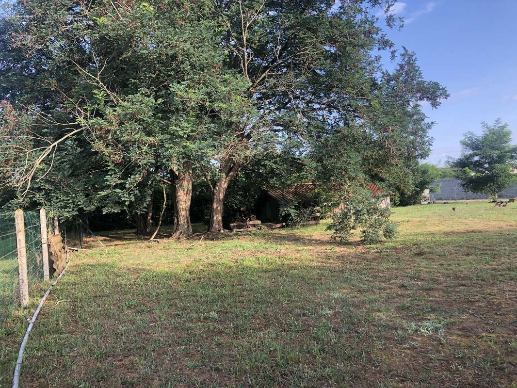 Terrain à AMBARES-ET-LAGRAVE