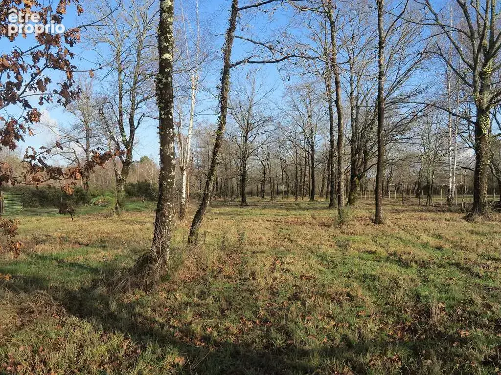 Terrain de 6155 m² dont 1600 m² de constructible - photo 13
