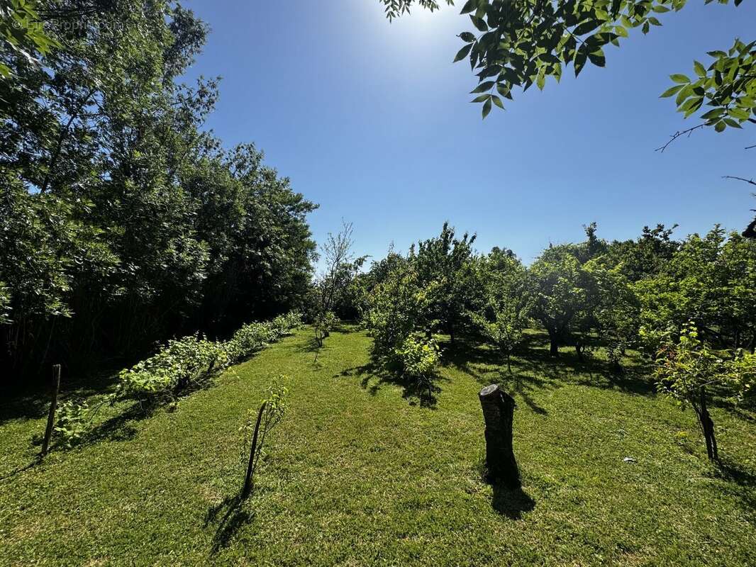 Terrain à ROUFFIAC-TOLOSAN