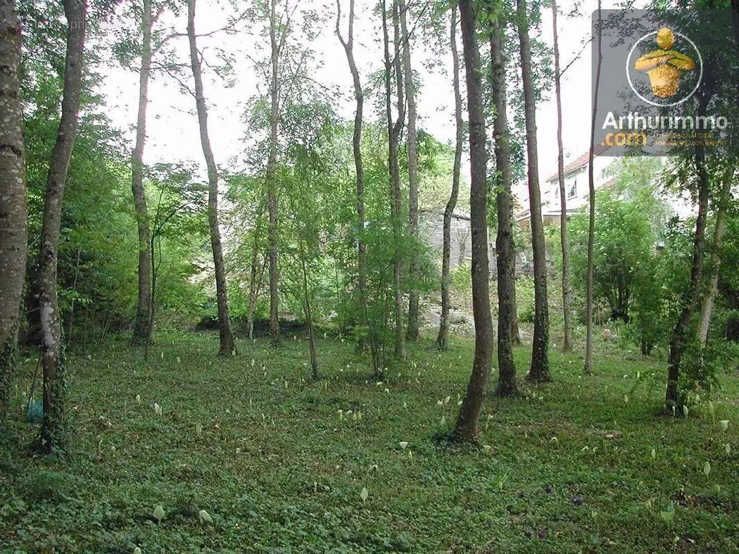 Vente Terrain Tavers(45190) 60 000ï¿œ - photo 6